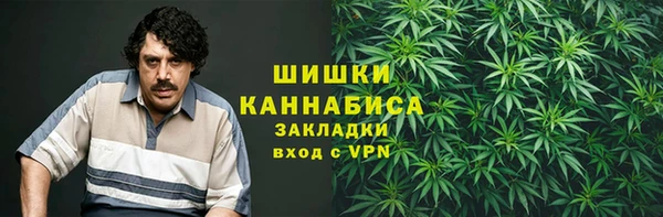 сатива Алексин