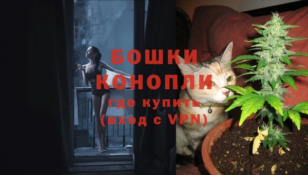 сатива Алексин